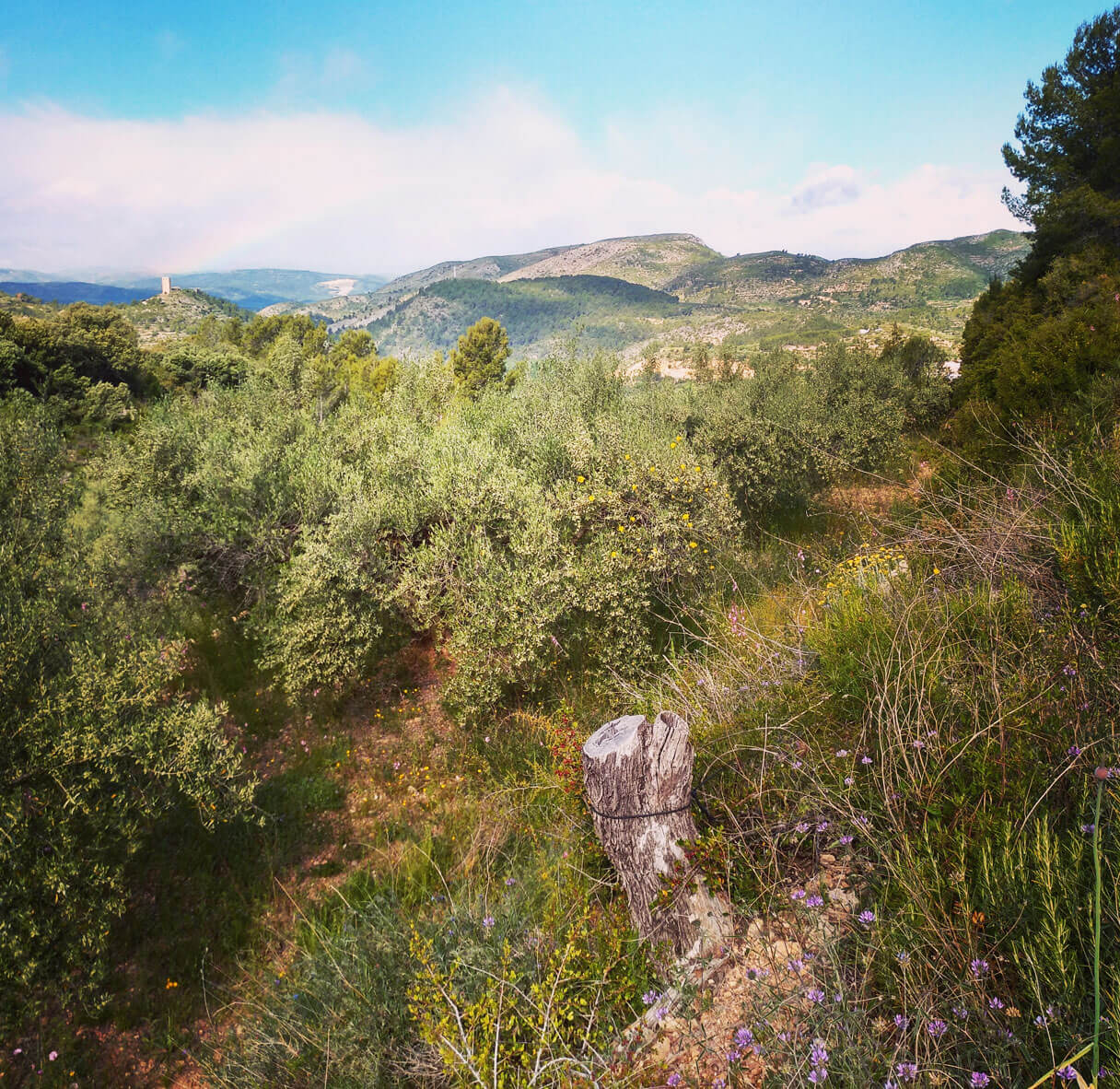 Posibilitar la existencia de los Artesanos de la Agroecología